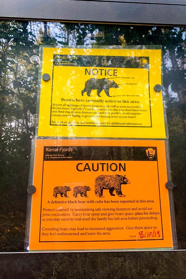 Signs about bear danger on Harding Icefield hike in Alaska