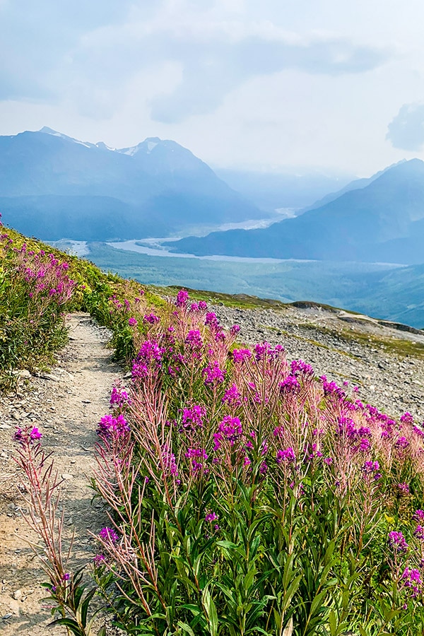 Looking back on the valley from Harding Icefield Trail in Alaska