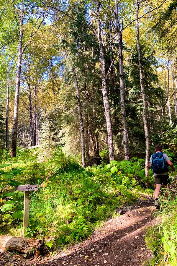 Trailhead of Hope Point Trail near Hope Kenai Peninsula Alaska