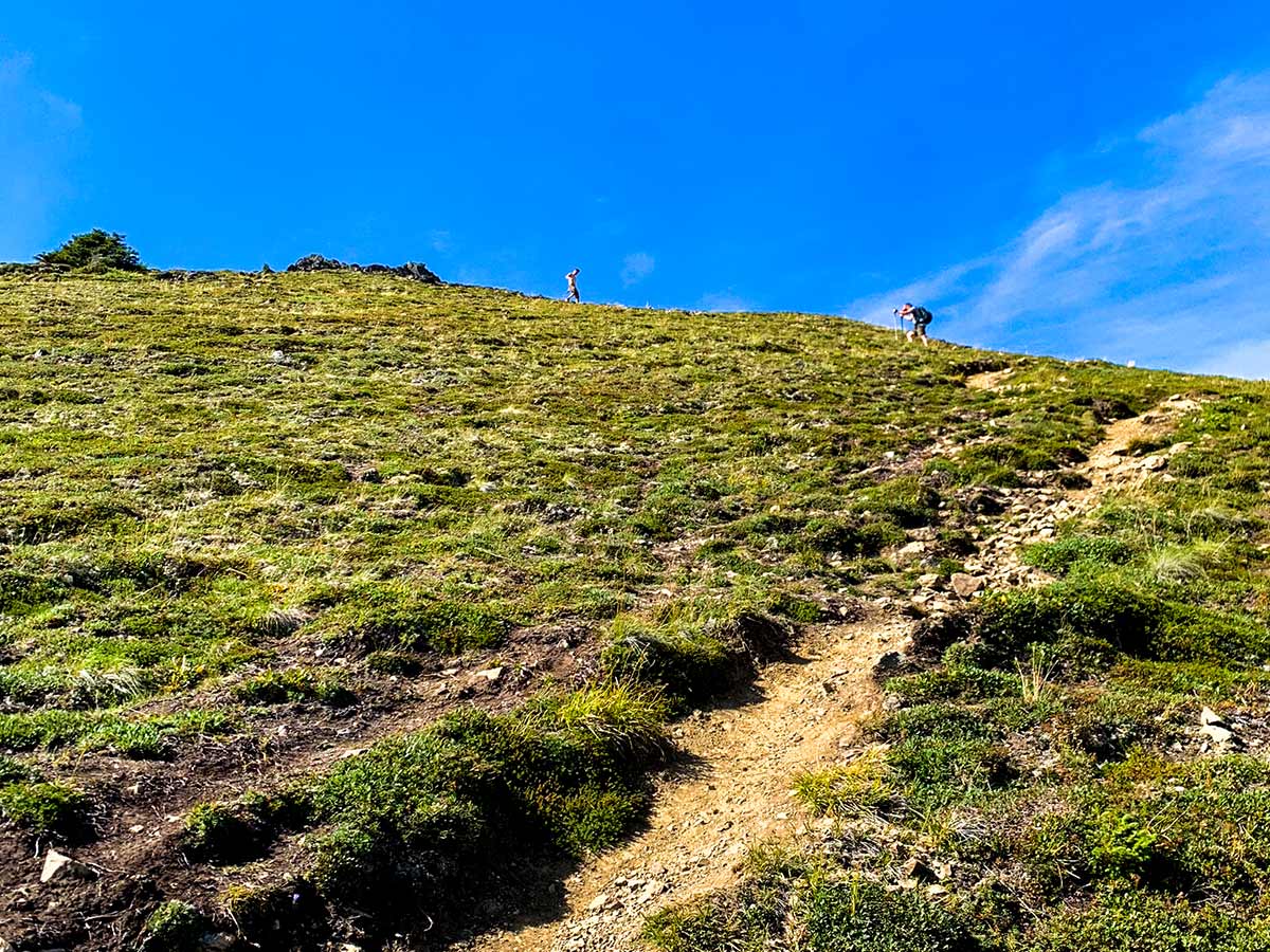 Steep trail to Hope Point in Kenai Peninsula near Anchorage Alaska