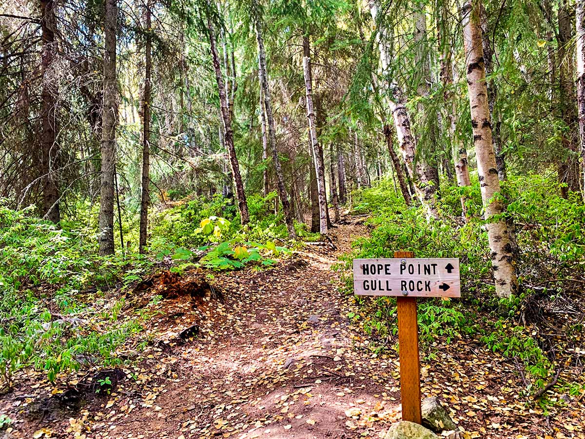 Trail signs on a dayhike of Hope Point Trail in Alaska