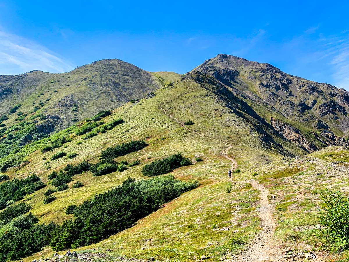 Ascending on Hope Point Trail near Hope Village near Turnagain Arm Alaska