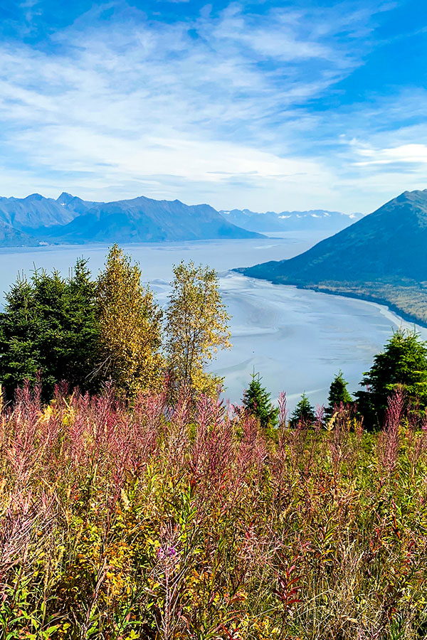 Expansive views from the trail of Hope Point near Turnagain Arm Anchorage