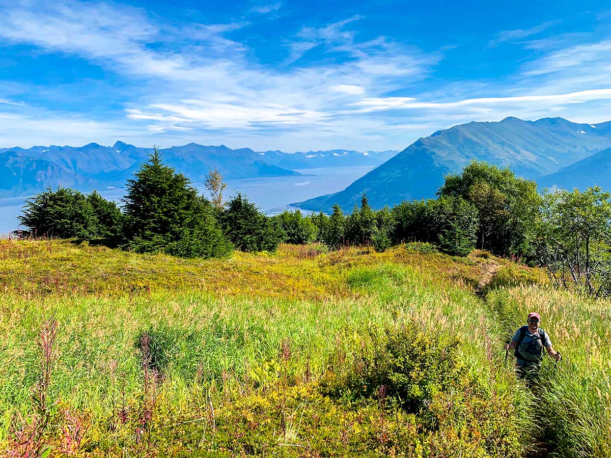 Overgrown path from Hope Village to Hope Point near Anchorage