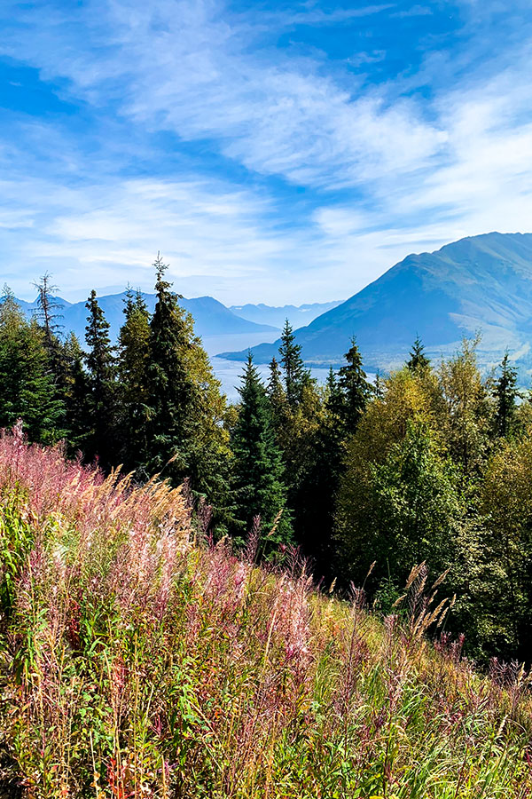 Looking towards Anchorage on Hope Point Trail in Alaska