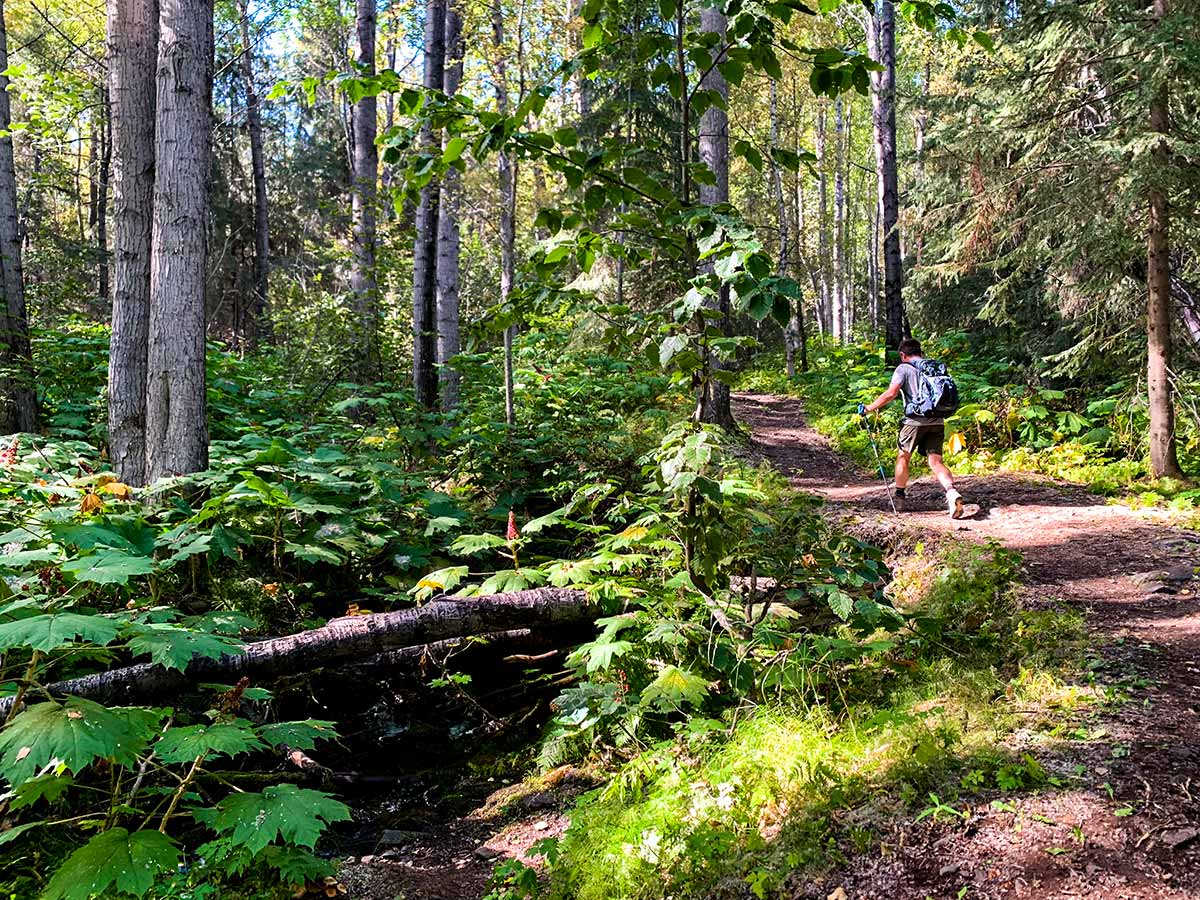 Forest path of Hope Point Trail before switchbacks start