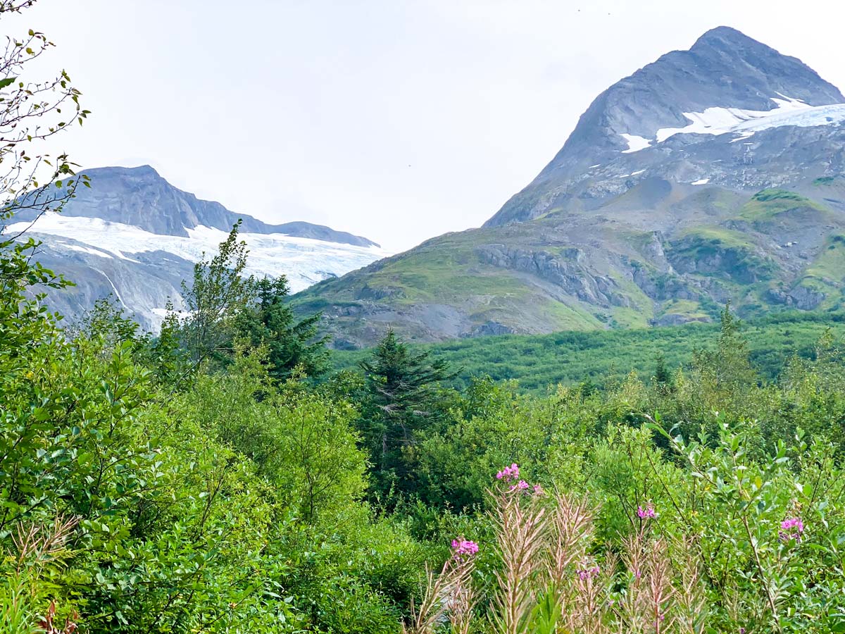 Beautiful views surrounding Portage Pass and Lake Trail near Anchorage Alaska