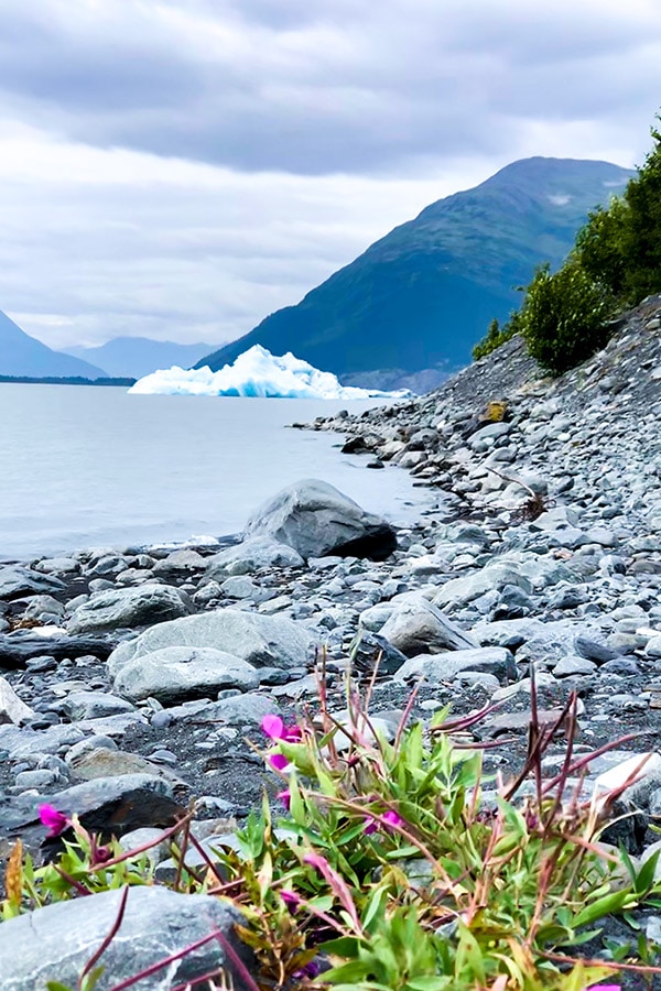 Iceberg and rocky shores of Portage Lake on a hike to see Portage Glacier