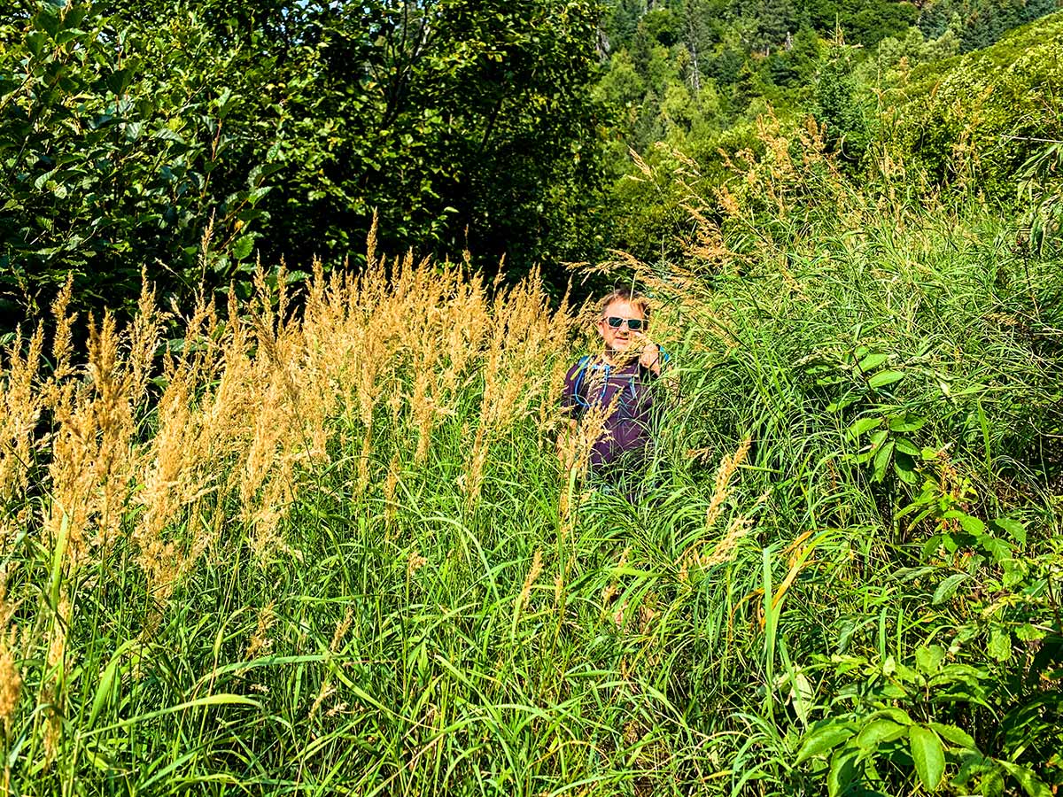 Hiker on overgrown trail of Ptarmigan Creek and Lake hike