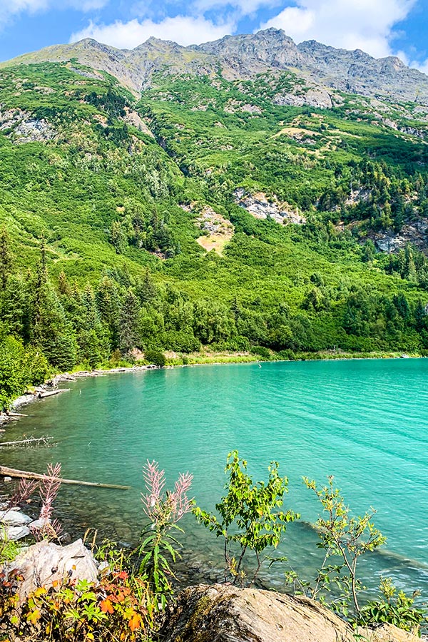 Ptarmigan Lake shores in Kenai Peninsula Alaska