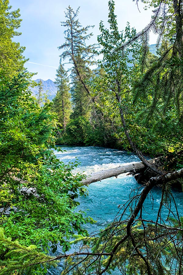 Ptarmigan Creek on a trail to Ptarmigan Lake in Kenai Peninsula