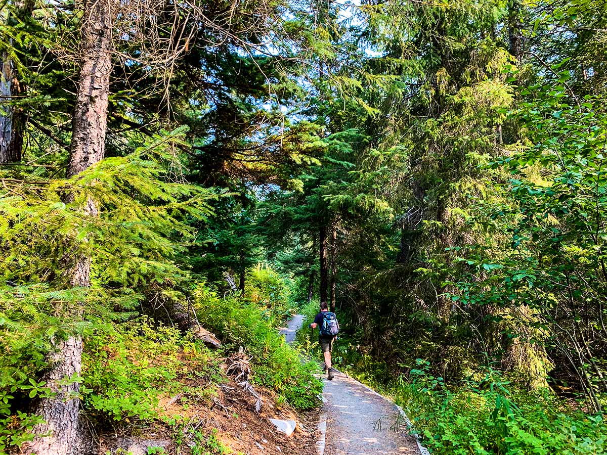 Hiker on a forest path of Ptarmigan Creek and Lake Trail Alaska