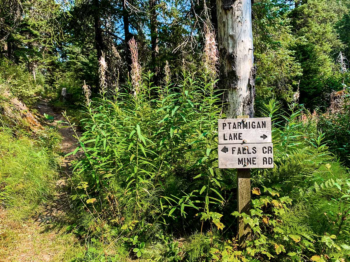 Trail signage on Ptarmigan Creek Hike near Anchorage Alaska