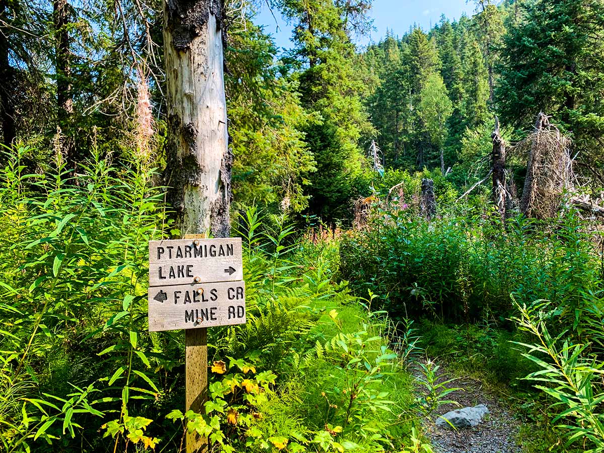 Sign pointing to Ptarmigan Lake on Ptarmigan Creek Trail Alaska