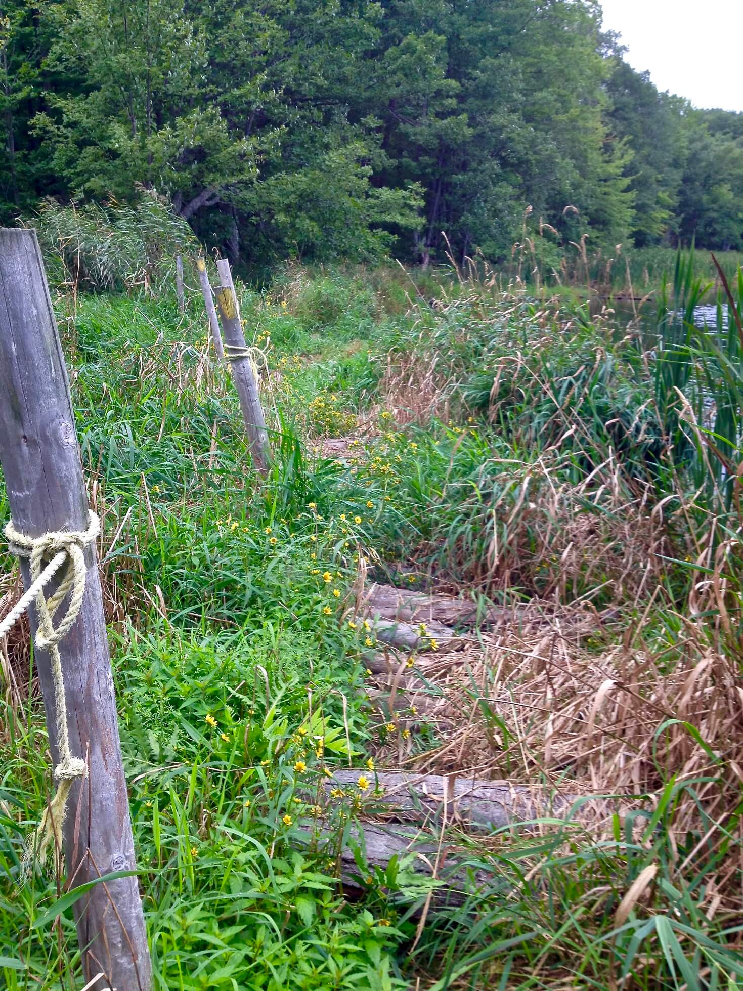 Ice Age Trail Views