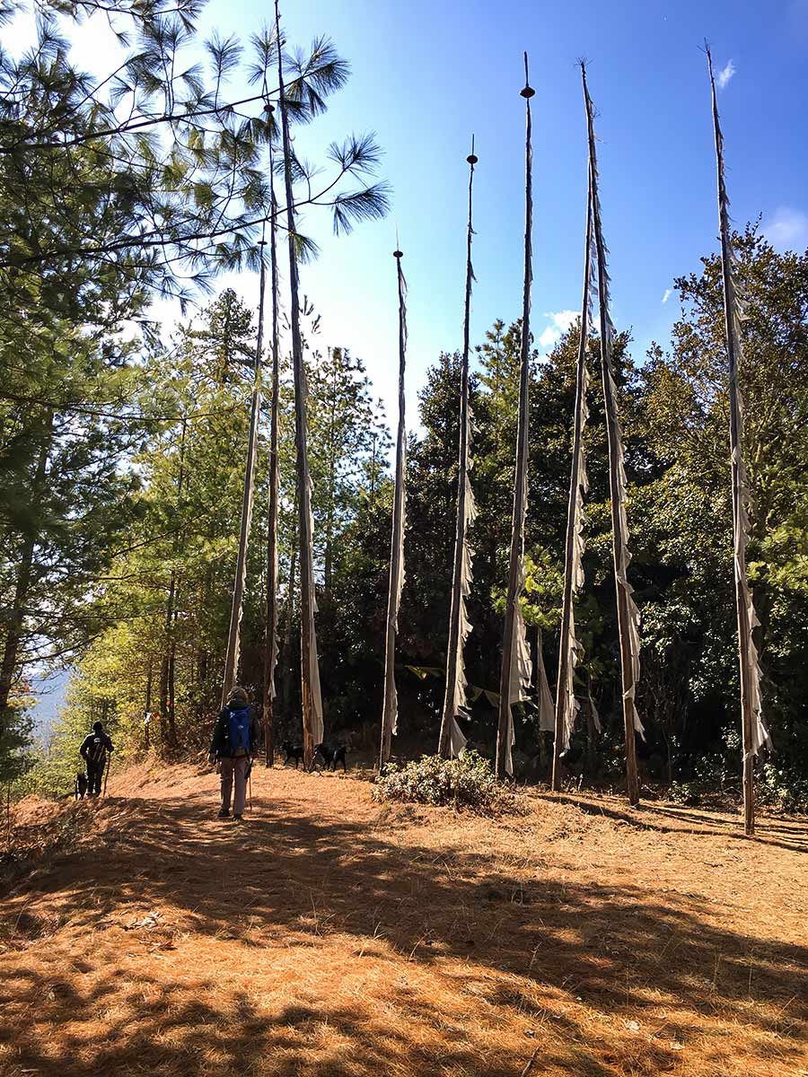 Flags just before the Gompa