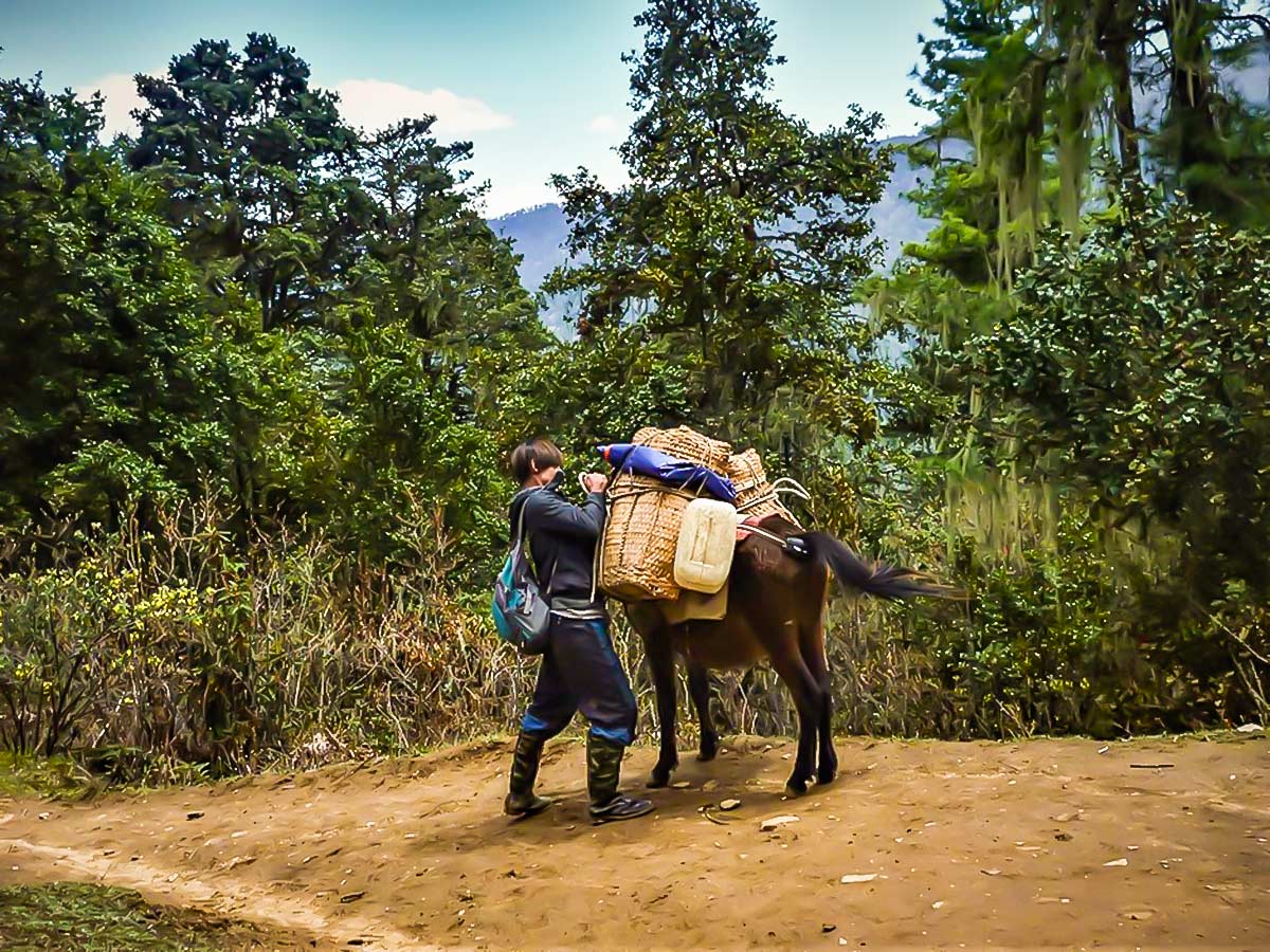 Guide struggling with loose luggage