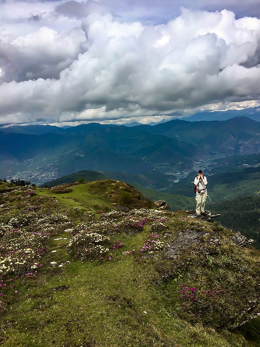 Looking into Paro Valley