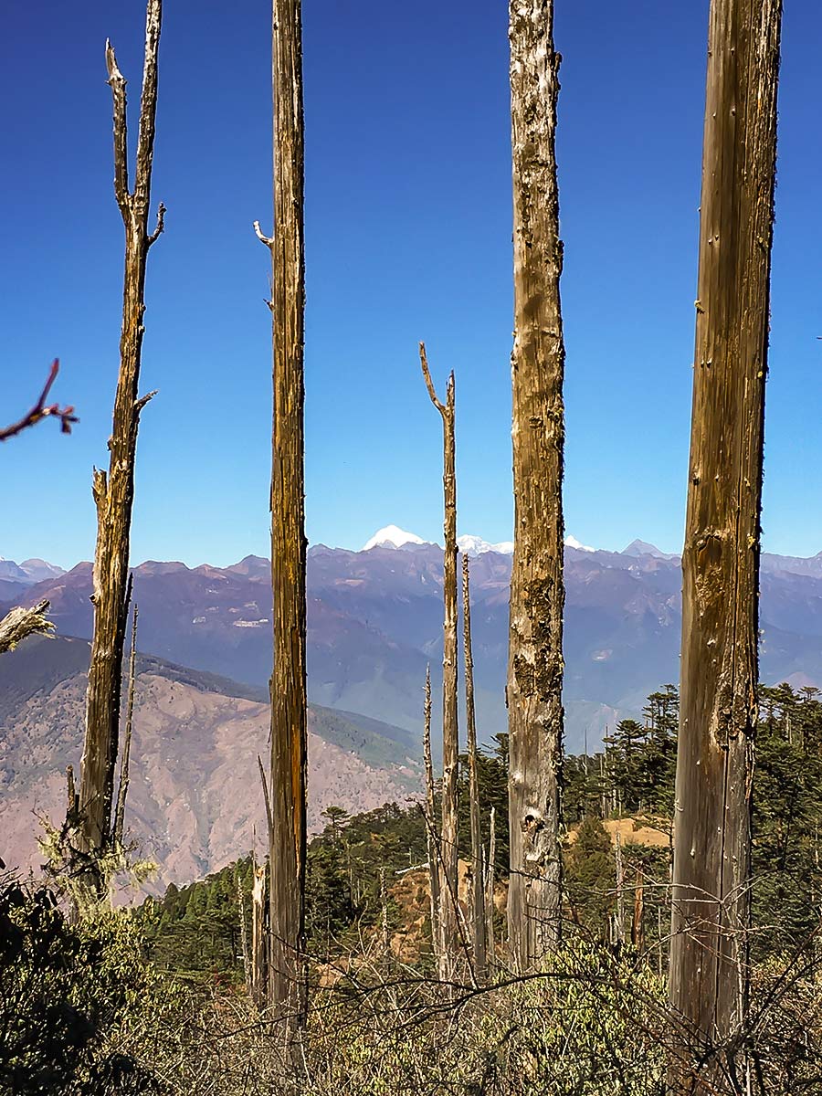 Looking toward Dochula Pass