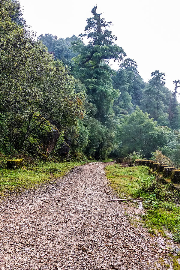 Graveled trail in between the hike