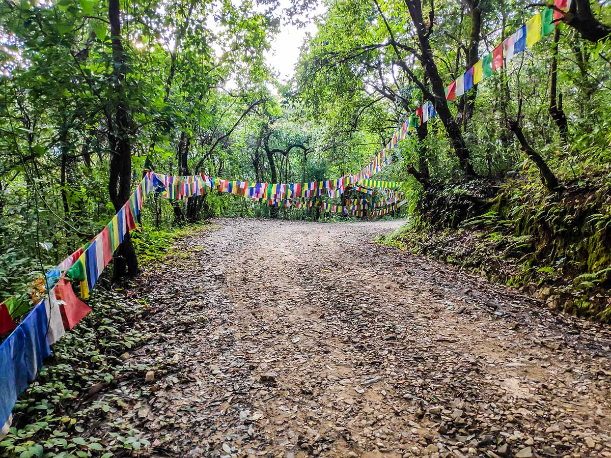 Prayer flags decorated in between the trails