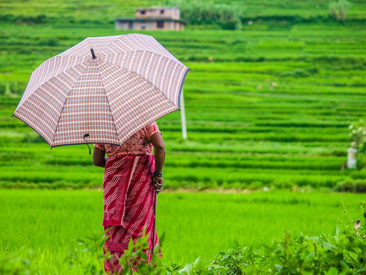 A lady looking at her fields in Kirtipur
