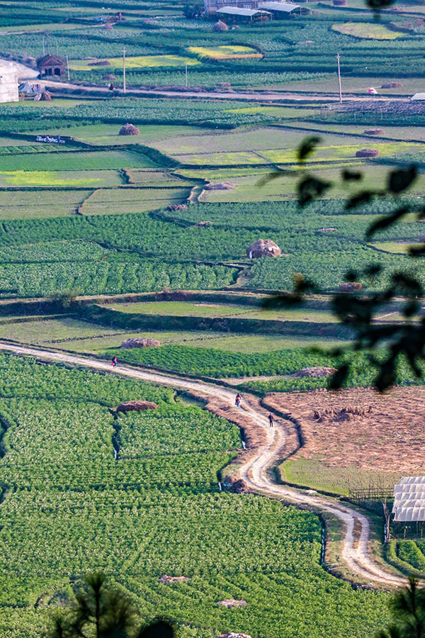 A flowy trail leading all the way up to Khopasi