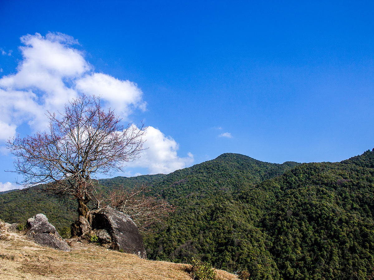 Lush green hills around Champadevi