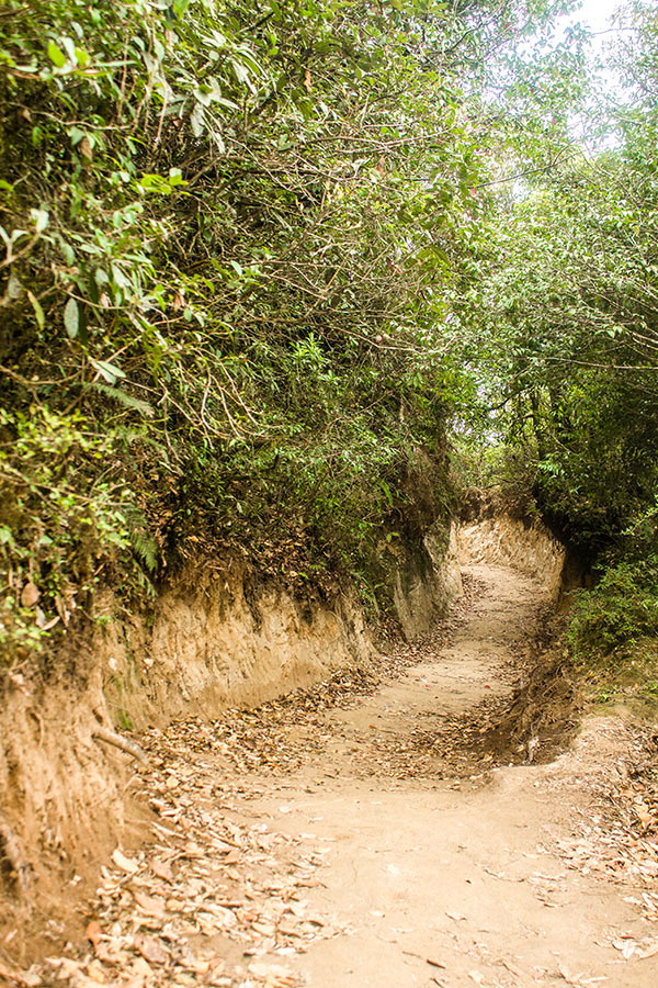 A singletrack trail leading to Champadevi temple