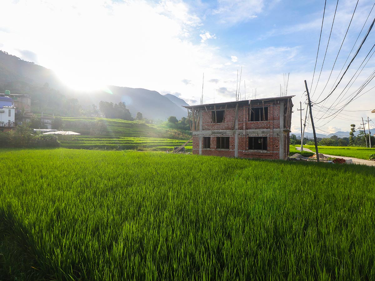 View of the paddy fields near Khokana