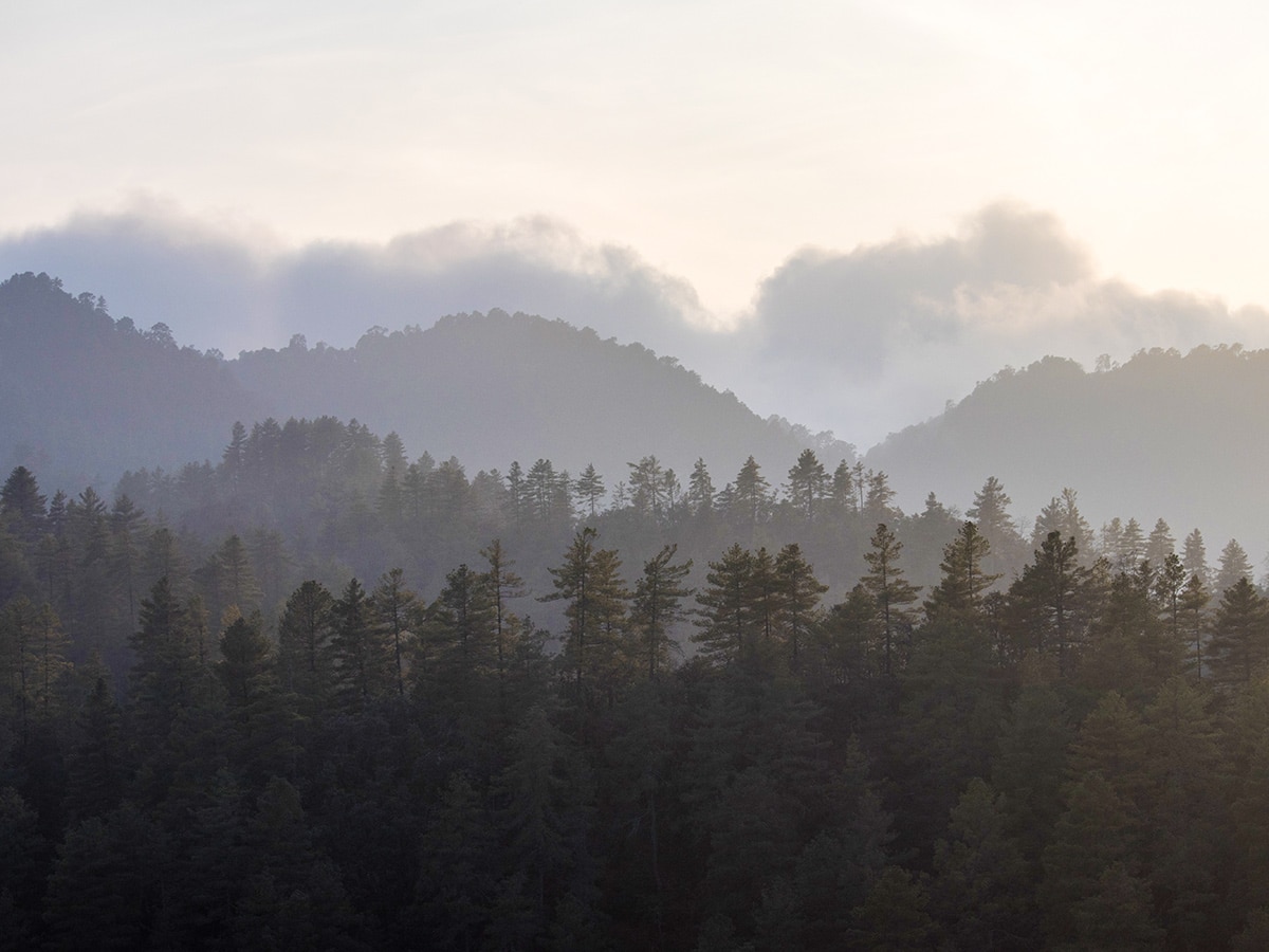 Early morning view of the hills around Markhu