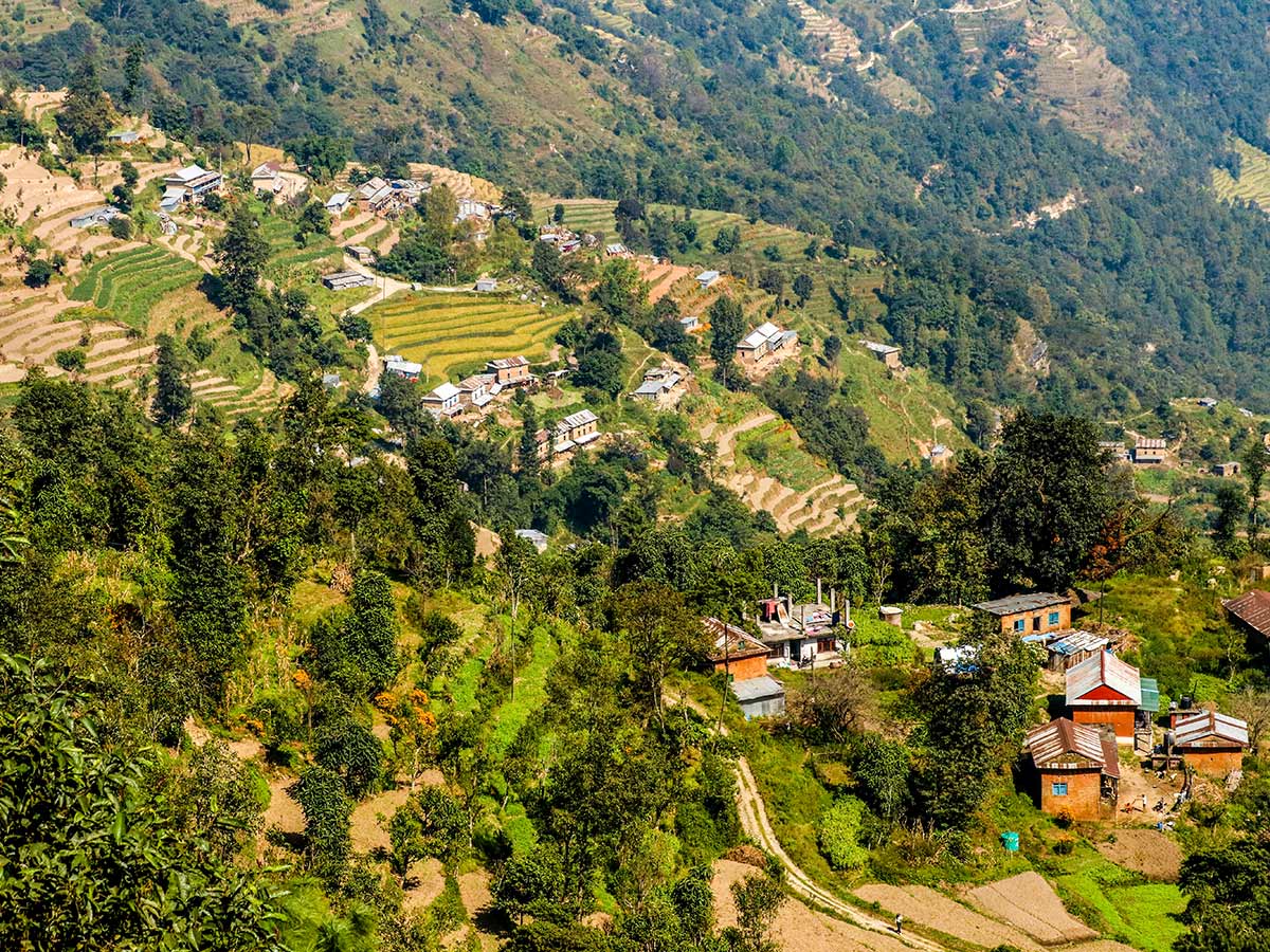 Terrace farming on the hills of Nagarkot