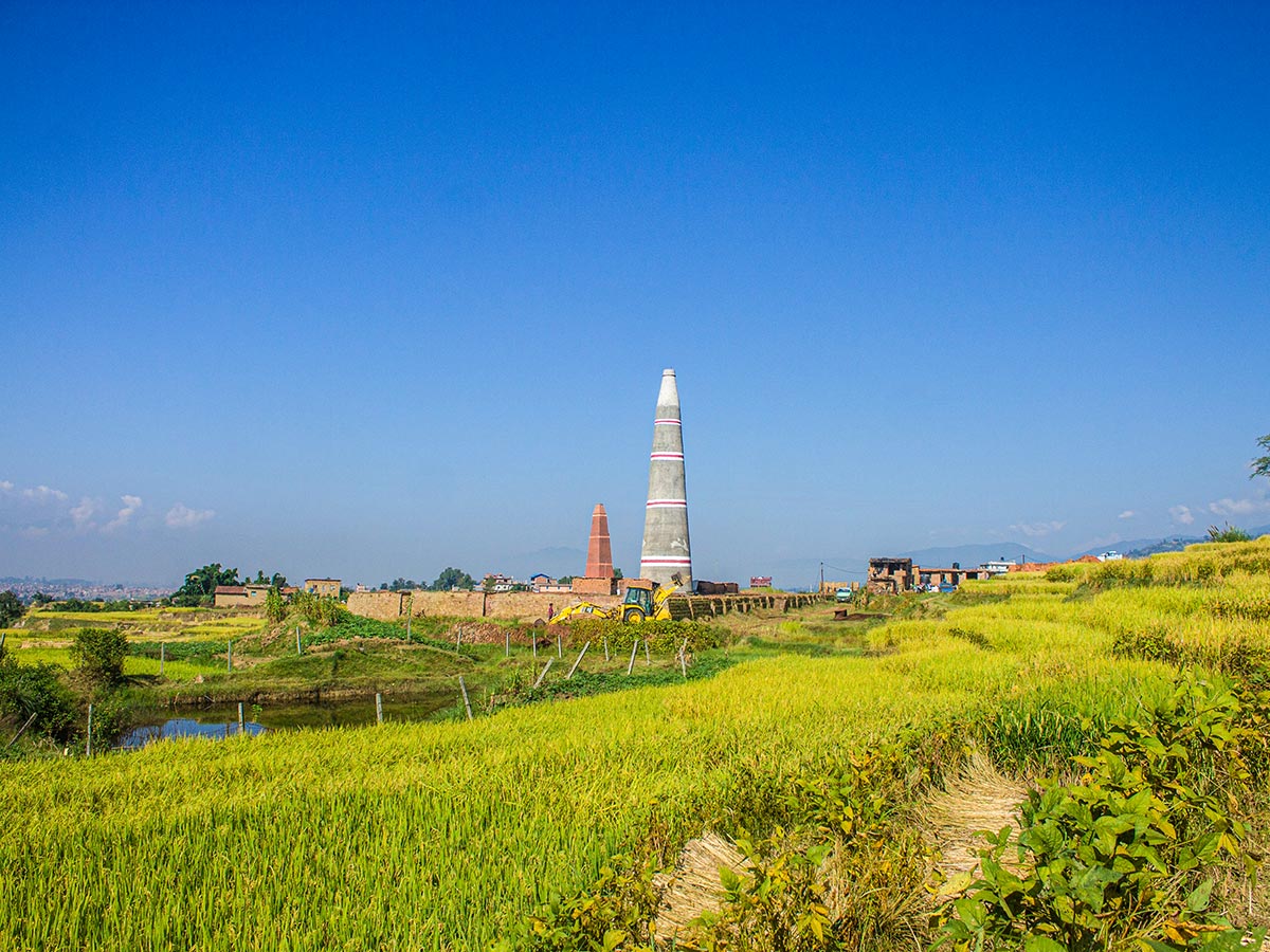 Paddy fields in between the trails