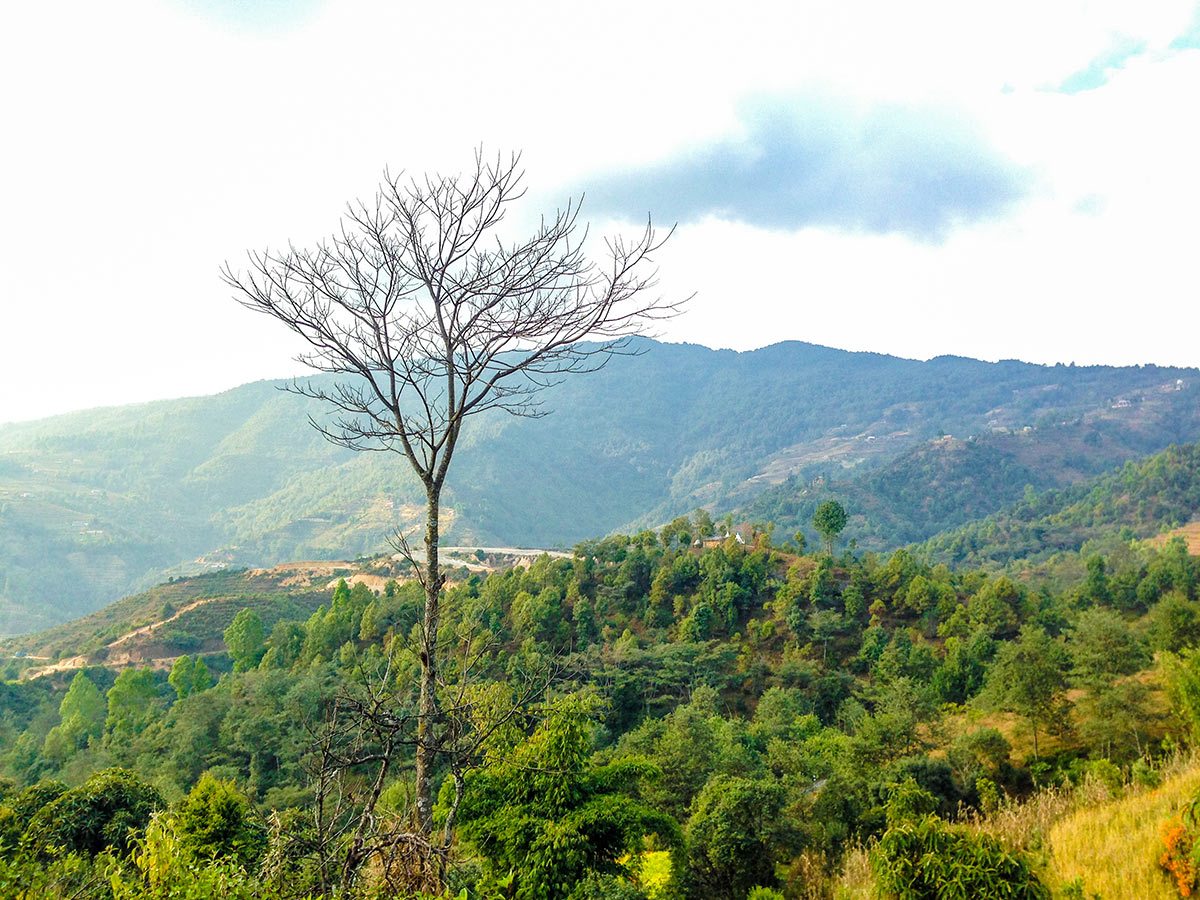 Just before walking the steep uphill to Kartike Bhanjyang