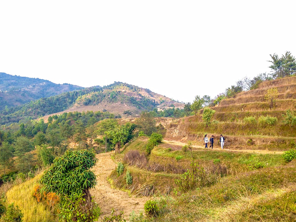 Hikers getting to the end of Lapsephedi village