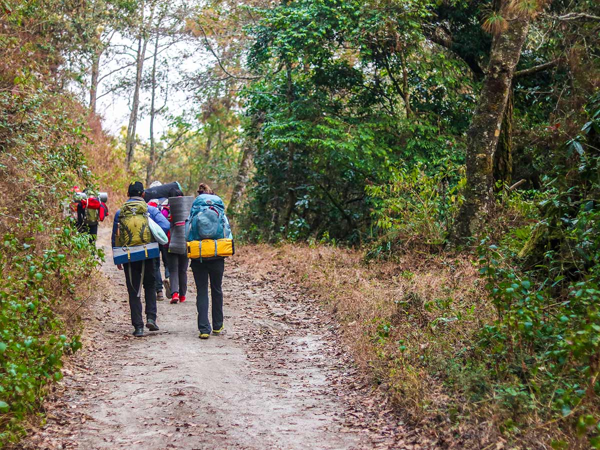 Hikers walking a relatively flat trail to Shivapuri Peak and Bhagdwar