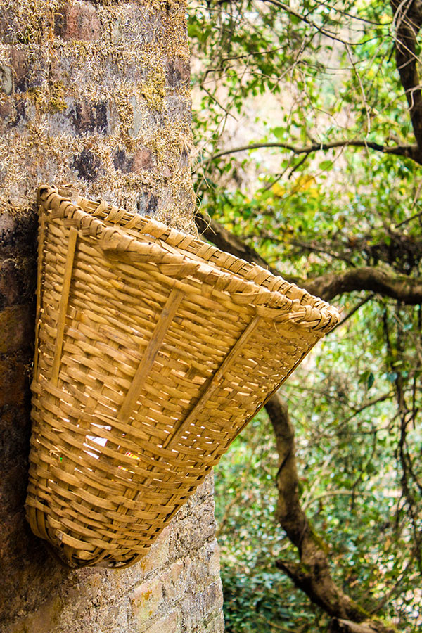 Customized trash bins put up in the hiking route