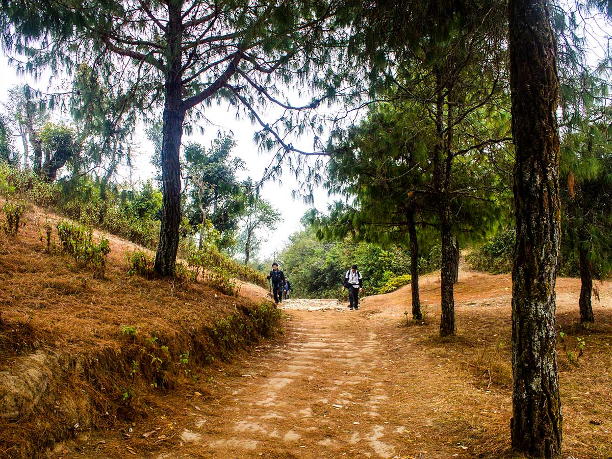 Descending down to Chisapani from Burlang Bhanjyang