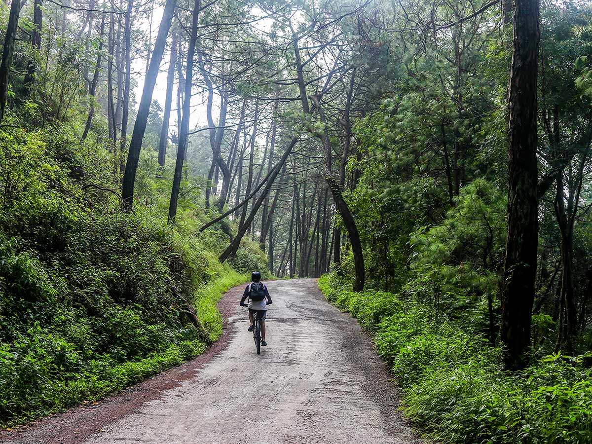 Climbing up the trail surrounded by trees