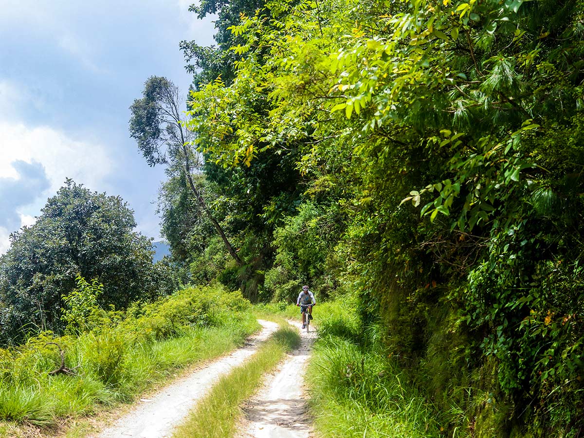 A wonderful path on the way to Tokha