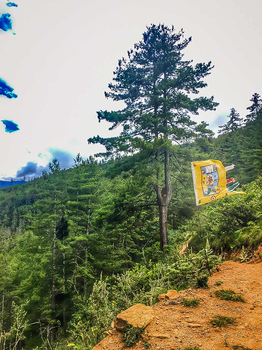 One of the many prayer flags along the way