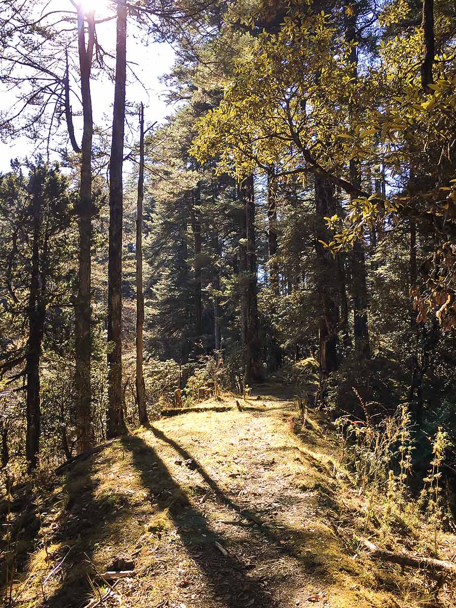 Path along the ridge