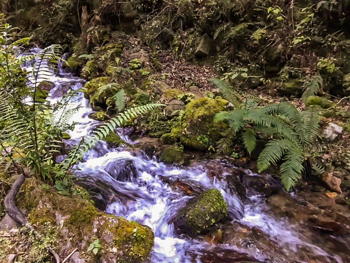 The stream the path follows