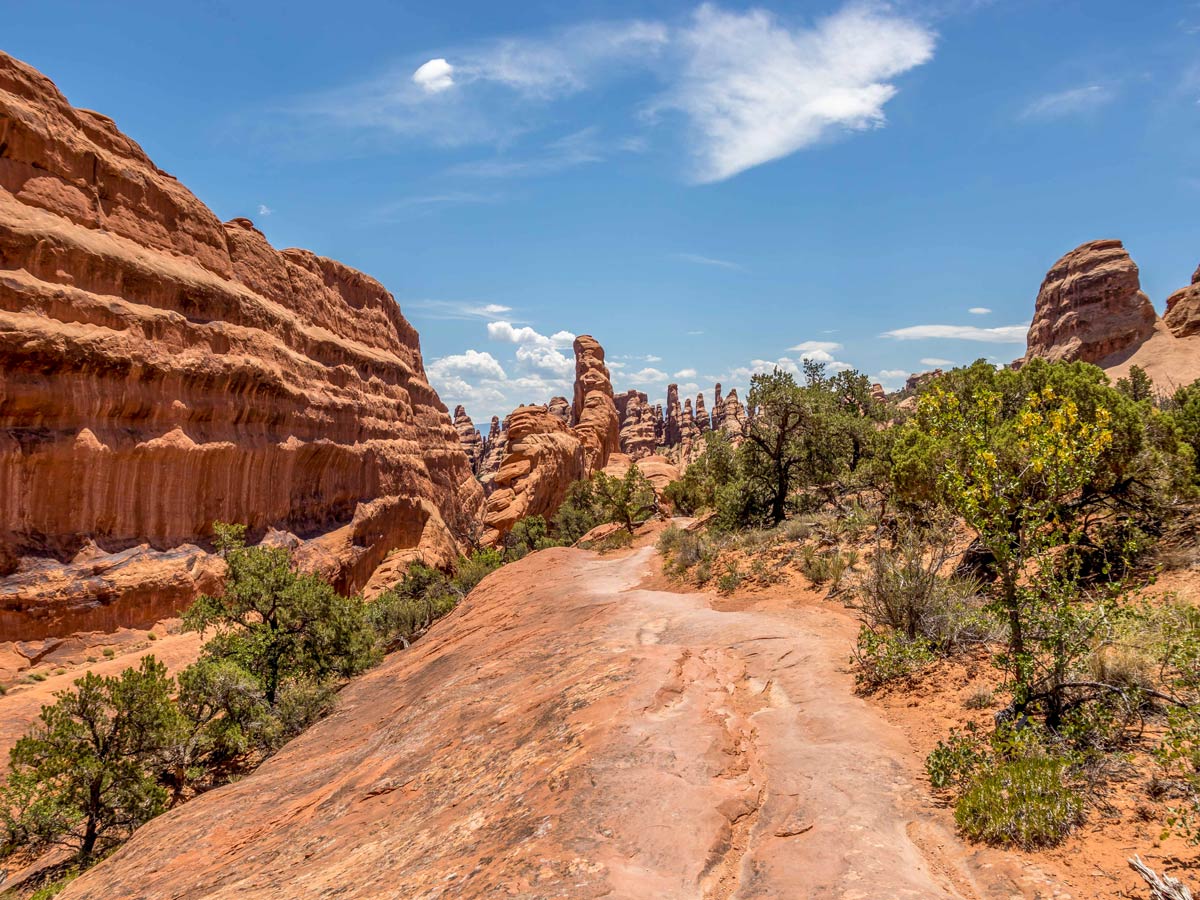 Rock formations along Devils Garden Loop