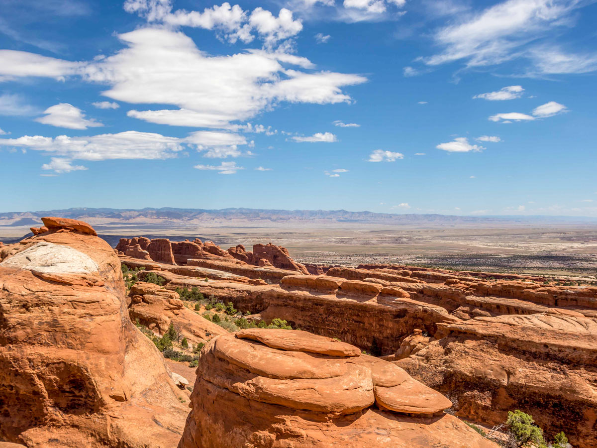 Field of rock formations along Devils Garden Loop in Arches NP