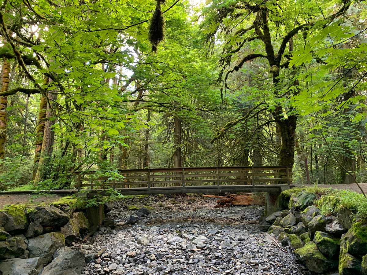 Bridge crosses dried riverbed in forest along one of the best hiking trails near Victoria Goldstream to Trestle trail BC