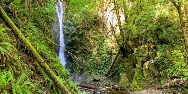 Goldstream Trestle Hike