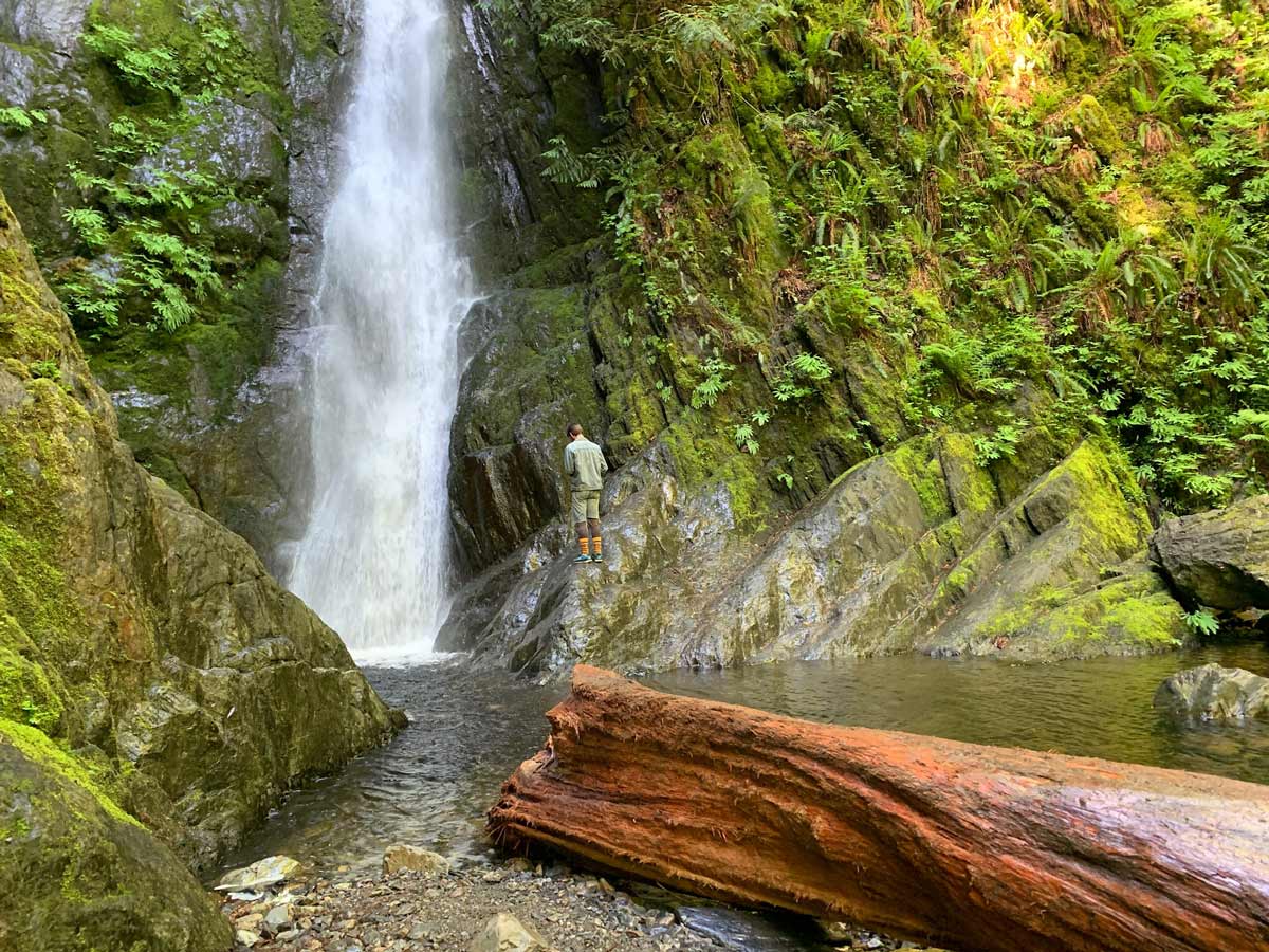 Hiker stands next to waterfalls in foreat along Goldstream to Trastle, one of the best trails near Victoria