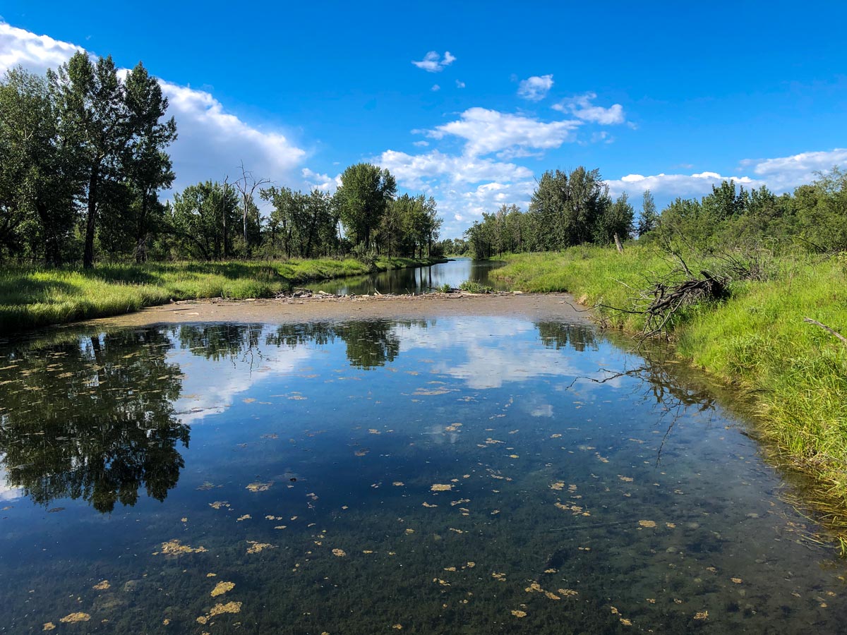 Beautiful reflections in the river waters at the Inglewood Bird Sanctuary walking path in Calgary Alberta