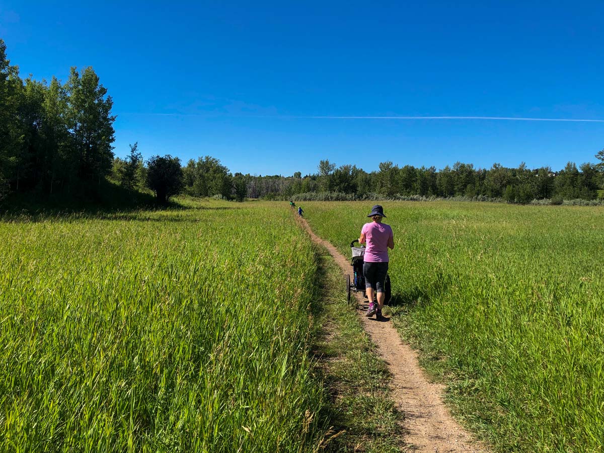 Walking through tall grasses along Fish Creek Ranch and Parkland Ridge walking trails in Calgary Alberta